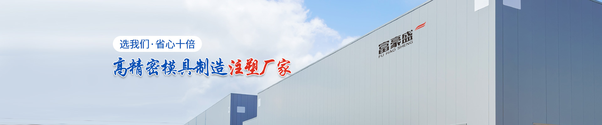 富豪盛（shèng）-高精密模具製造注塑廠家